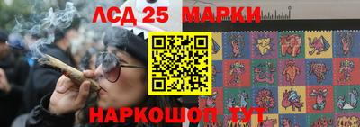 прущие грибы Аргун