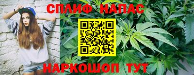 прущие грибы Аргун