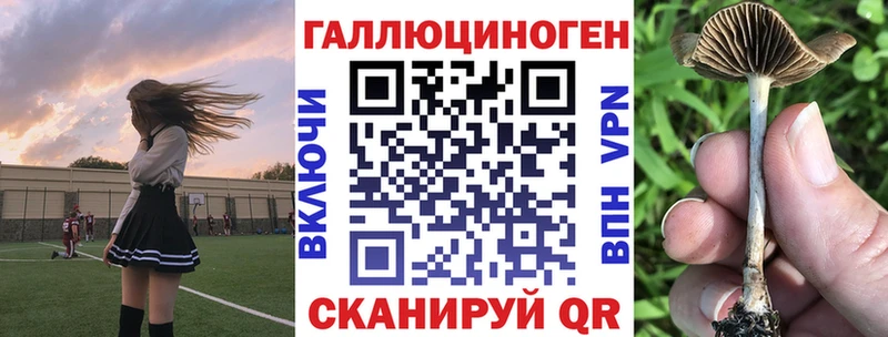 Псилоцибиновые грибы Cubensis  где купить наркоту  Балашиха 